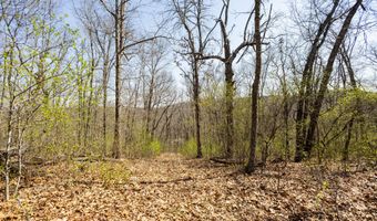 16032 Farm Road 1212, Aurora, MO 65605