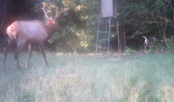 1426 CR 921, Alpena, AR 72611