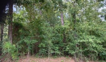1421 Hide A Way Ln, Carriere, MS 39426