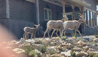 747 Upper Ruby Rd, Alder, MT 59755