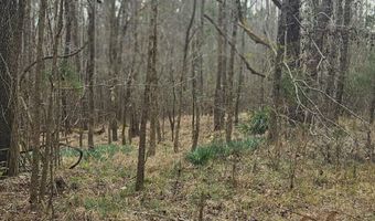 0 HWY 220, Lincolnton, GA 30817