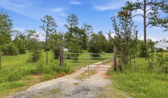22457 NW Valencia Dr, Altha, FL 32421