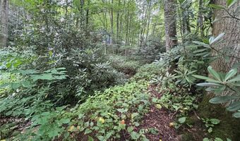 Tbd Clubhouse Drive, Banner Elk, NC 28604