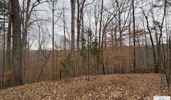 Pine Valley Dr, Bassett, VA 24055