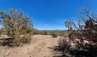 302-17 306 Haywire Rd, Ash Fork, AZ 86320