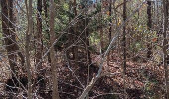 1163 Juneberry Rd, Camden, SC 29020