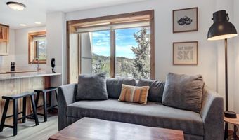 535 S Park Ave 317, Breckenridge, CO 80424