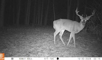 BRUSHY Ln, Arley, AL 35541