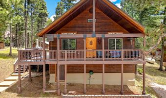 93 Calle De Los Indios, Angel Fire, NM 87710