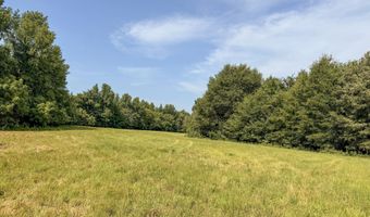 Poplar Springs Road, Atwood, TN 38220