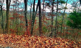 SPITZ Lane, Basye, VA 22810