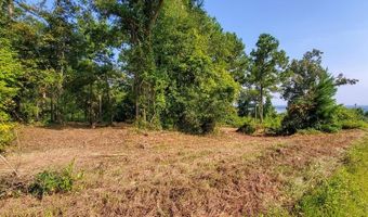Lot 13 A Mountain View way 13 A, Bainbridge, GA 39819