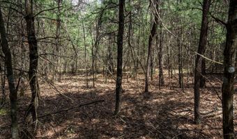S Badger Lane lot 39, Arkdale, WI 54613
