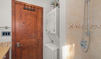 910 W Hallam St 11, Aspen, CO 81611