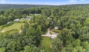 123 County Road 3917, Arley, AL 35541