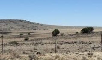 345 CR N3540, Concho, AZ 85924