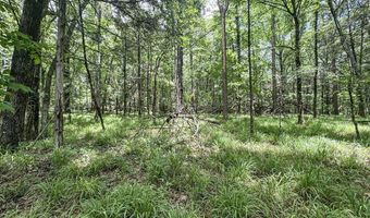 Pine Lodge Road, Batesville, MS 38606