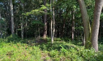 23 Joe Frazier Rd, Beaufort, SC 29906