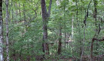 134 Whip O Will, Abbeville, SC 29620