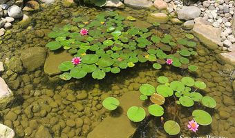 7750 Silverthorn Dr SE, Ada, MI 49301