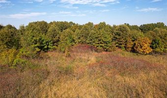 2300 CR 149, Alton, MO 65606