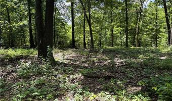 TBD Wilderness WY, Anderson, MO 64831