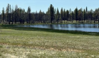 Off Hicks Road Lot 3, Bly, OR 97622