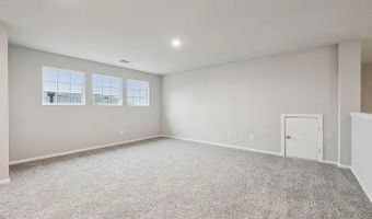 308 Tartane Dr, Anna, TX 75409