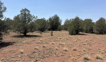 164 Rattlesnake Rd, Ash Fork, AZ 86320