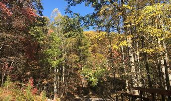 329 Villa Heights Dr, Bastian, VA 24314