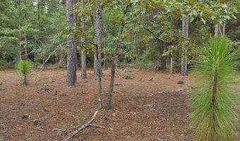 317 R J Johnson Rd, Allendale, SC 29810