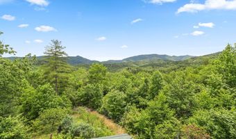 1188 Tobacco Branch Rd, Almond, NC 28702