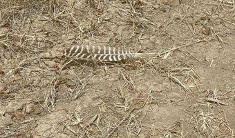 Bolivar Road, Benoit, MS 38725