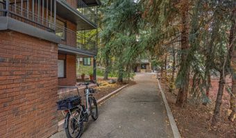 731 S Mill St 3A, Aspen, CO 81611