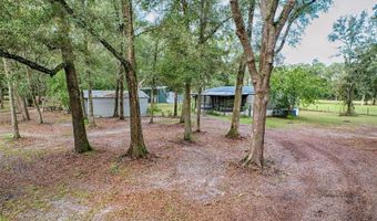 6906 SW 138TH St, Archer, FL 32618