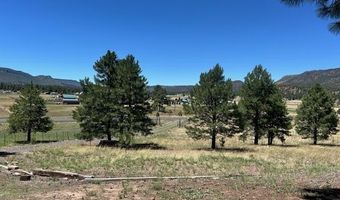 450 County Road 2104, Alpine, AZ 85920
