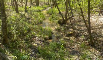 Steve Brown Road, Bean Station, TN 37708