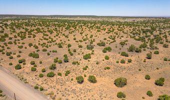 County Road 8643, Concho, AZ 85924