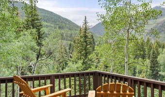 5387 Castle Creek Rd, Aspen, CO 81612
