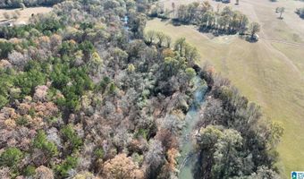 0 CANOE Dr 5.2 Acres - Portion of the Parcel offered on mls, Ashville, AL 35953