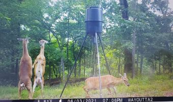 80 N4130 Rd, Antlers, OK 74523