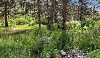 Spiritwood Ln, Bellvue, CO 80512