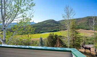 553 Brush Creek Rd, Aspen, CO 81611