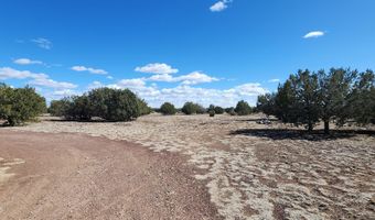 3597 Boone Trl, Ash Fork, AZ 86046
