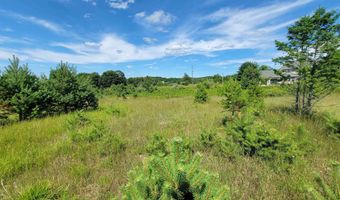 Parcel D Cemetery Road, Alden, MI 49612