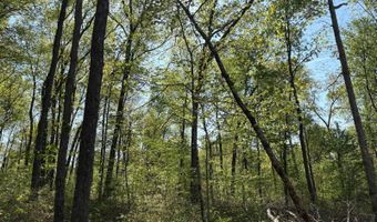 7900 Mineral Koleen Rd, Bloomfield, IN 47424