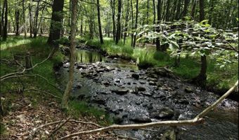 11 Grouse Trl, Albrightsville, PA 18210