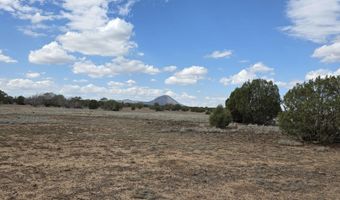 64 Antelope Run, Ash Fork, AZ 86320