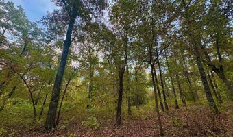 Goodwin Cove lot 29, Ash Flat, AR 72513