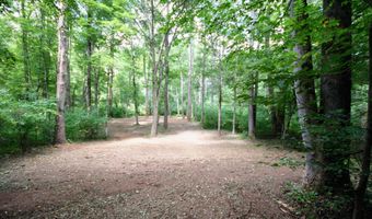 TBA BETTYS BRANCH RD X, Arvonia, VA 23004